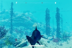vlcsnap-2019-08-15-15h45m54s010_compressed