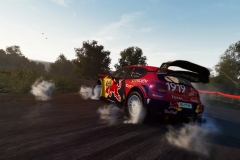 WRC-8-Screenshot-1