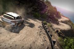 WRC-8-Screenshot-7